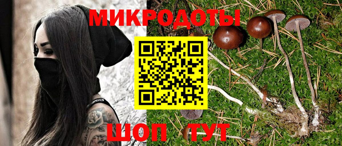 Псилоцибиновые грибы Cubensis Новотроицк