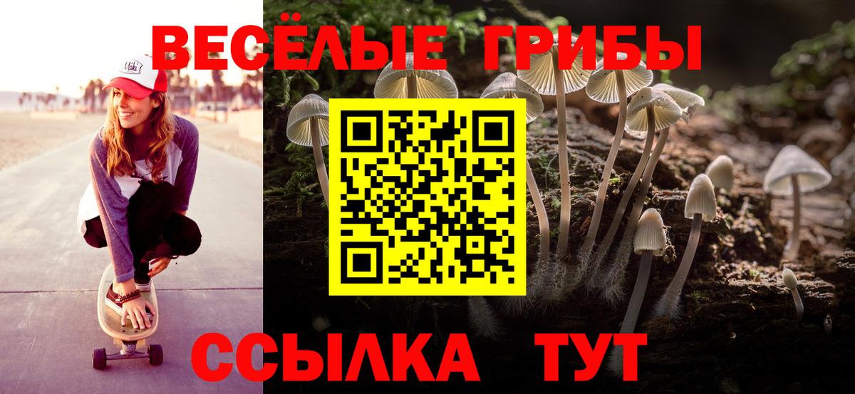 Новотроицк  Псилоцибиновые грибы Psilocybe  Псилоцибиновые грибы MAGIC MUSHROOMS  Вход с VPN 